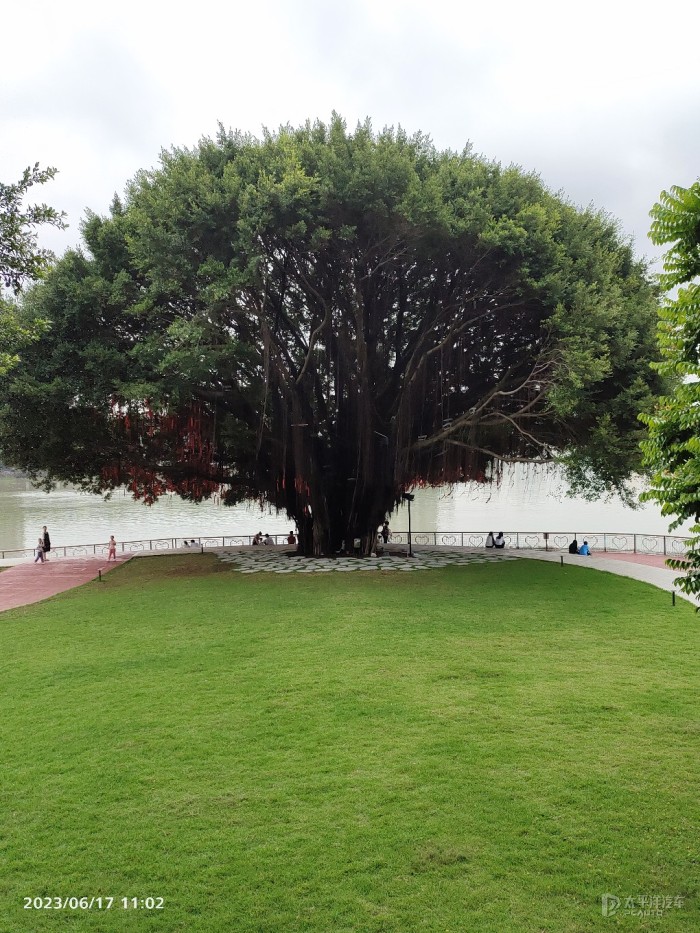 爱情岛论坛首页永久入口爱情岛论坛首页，永恒的邂逅之地-第2张图片