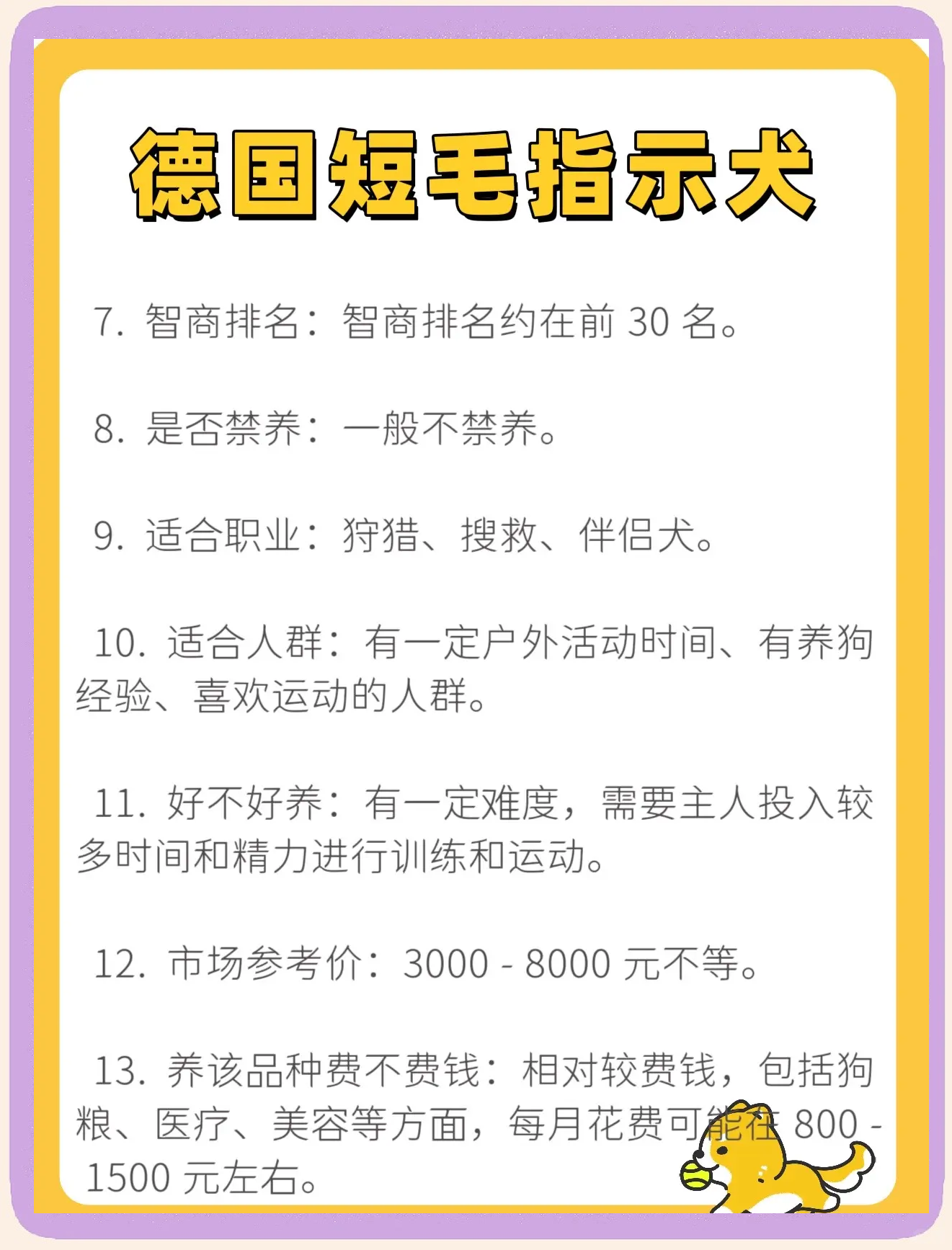 什么狗适合女人养晚上用适合女性夜晚陪伴的犬种选择-第2张图片