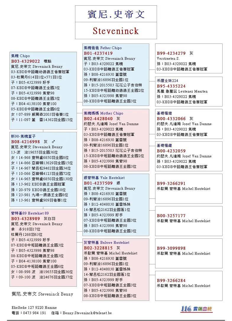 37传奇，勇者之路的辉煌篇章-第2张图片