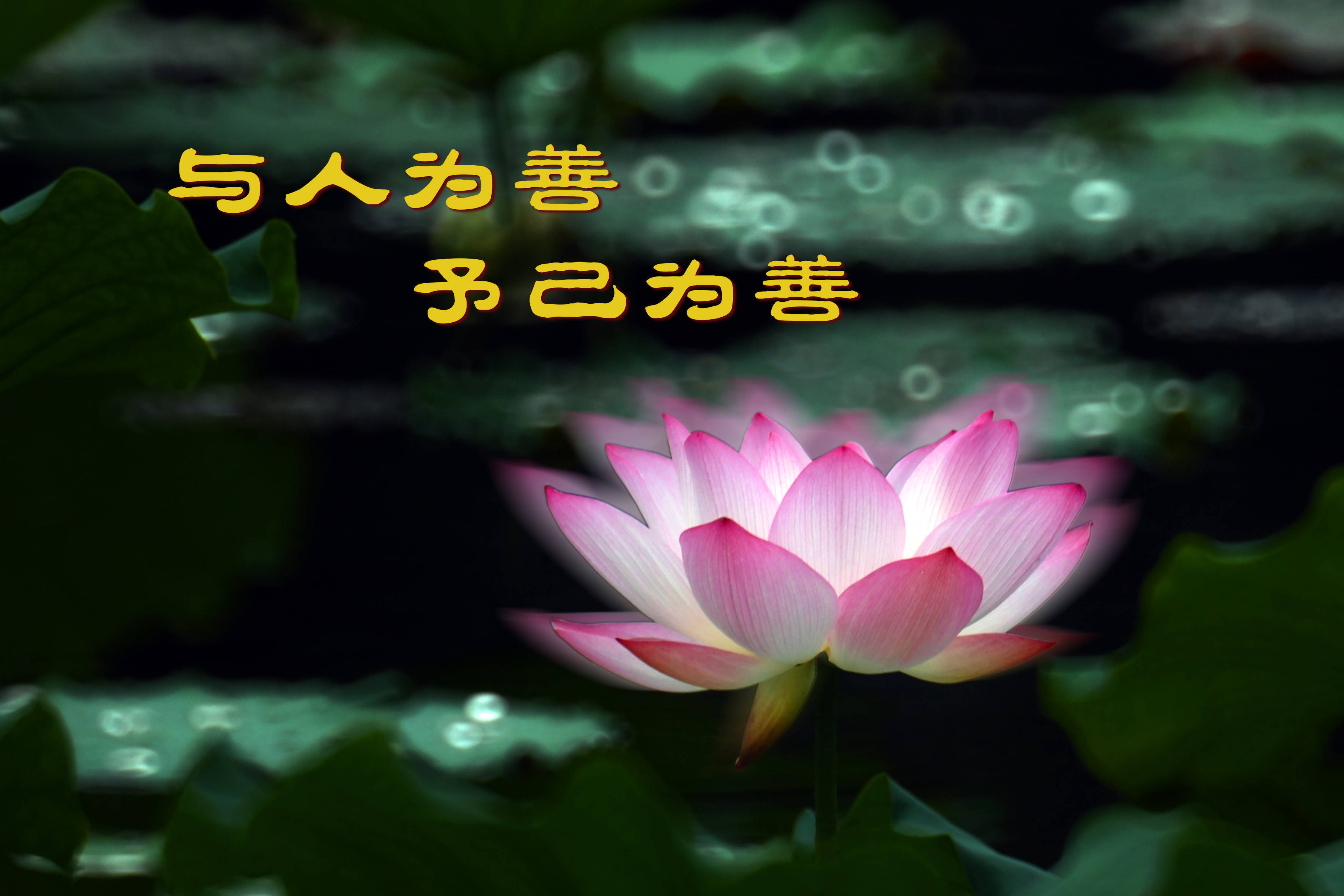 人与善交XUANWEN18人与善交——探索XUANWEN18的魅力与价值-第1张图片