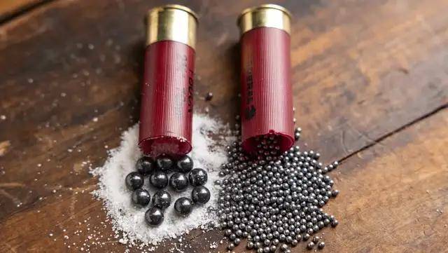 M3霰弹枪和镇暴枪有什么区别M3霰弹枪，一种独特的射击武器-第3张图片