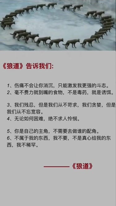 晚上看的你明白的视频夜晚的启示，那些让你看明白的视频-第2张图片