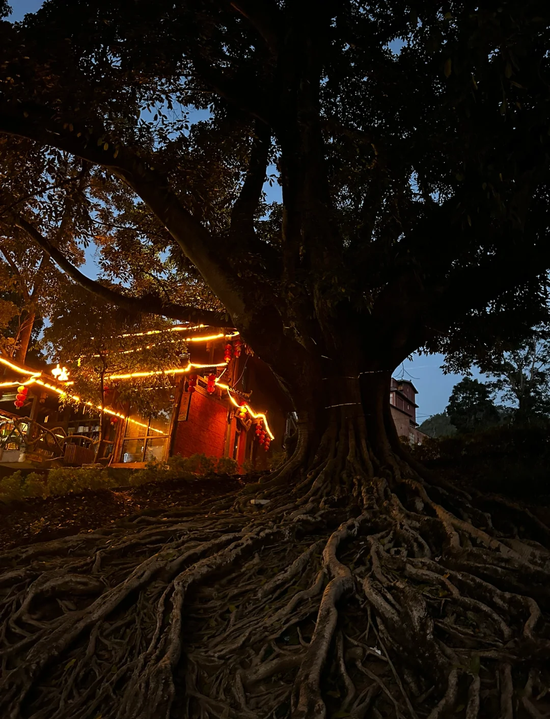 桃花洞口已是溪水潺潺免费桃花源洞之谜，芳草萋萋下的神秘世界-第2张图片