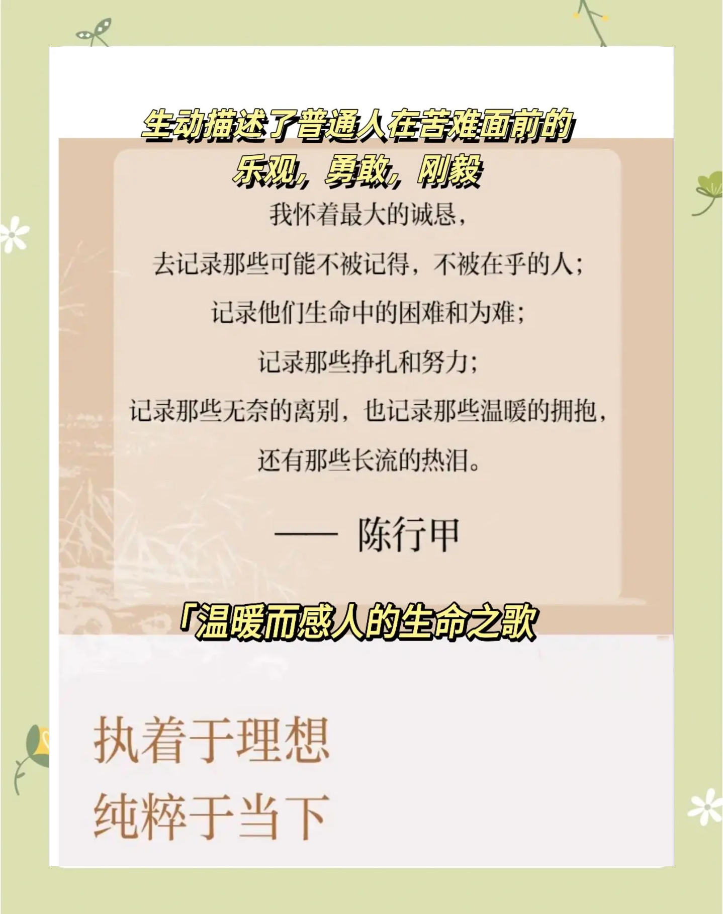 久草久久草久——时间的沉淀与生命的坚韧-第2张图片