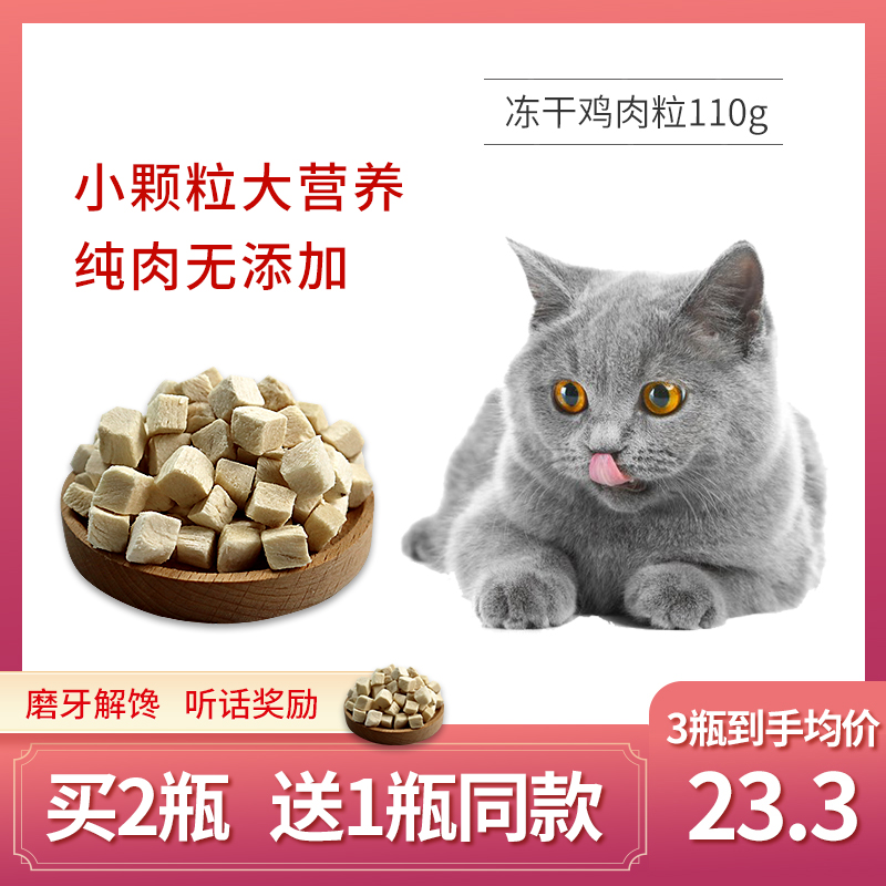 猫咪网站官网最新探索猫咪的奇妙世界——猫咪网站官网最新动态