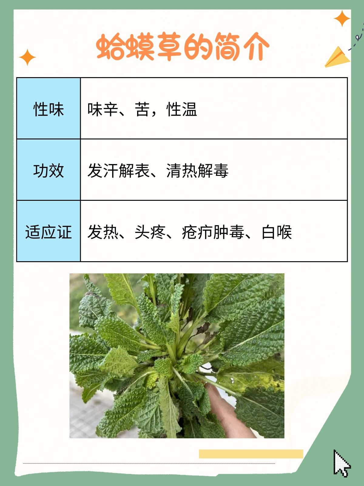 天天弄天天弄——生活的节奏与日常的坚持-第3张图片