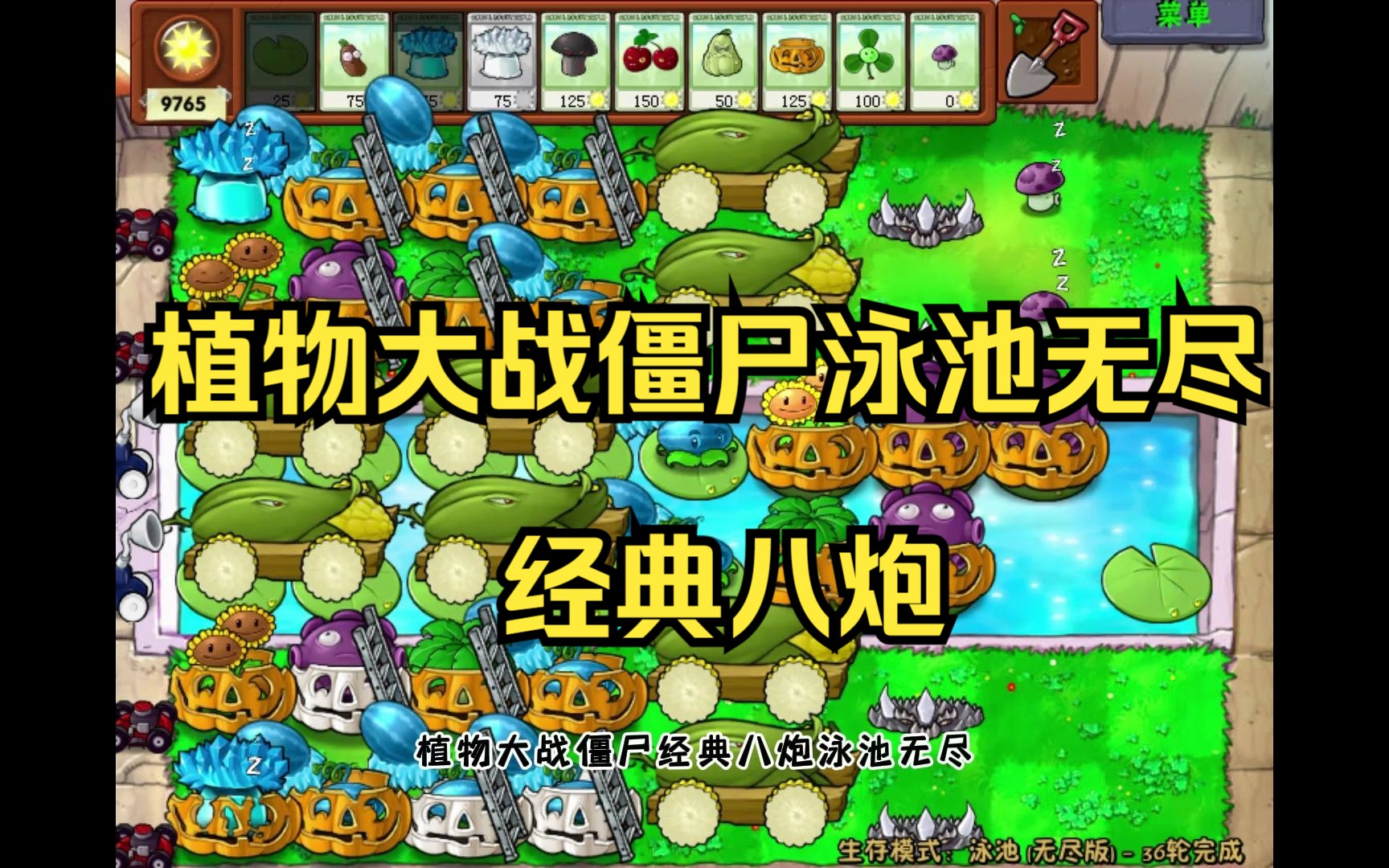 植物大战僵尸无尽版秘籍大全植物大战僵尸无尽版秘籍，终极指南与策略分享-第3张图片