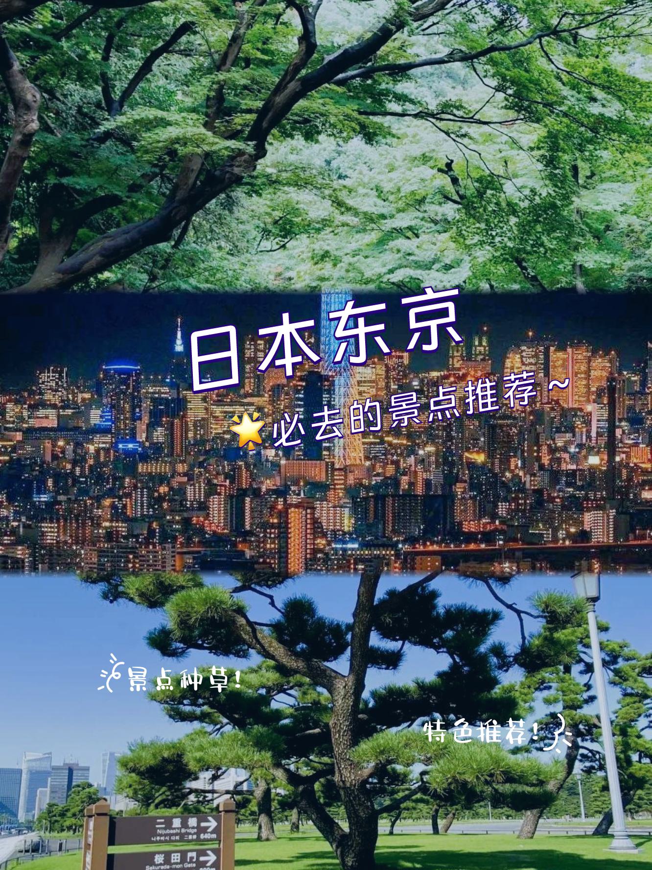 japanese与japanhd1819探索日本文化中的日本与JAPANHD1819的独特魅力
