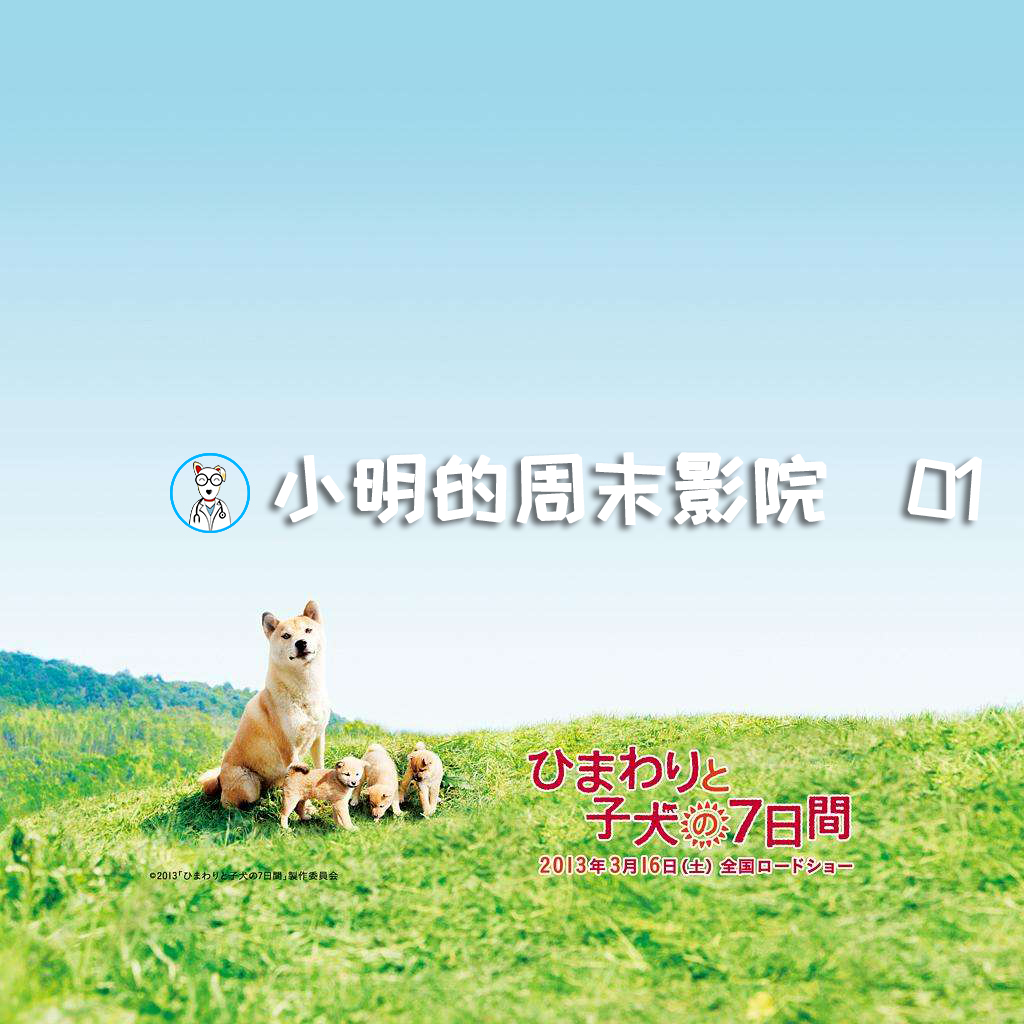 向日葵与幼犬的7天向日葵与幼犬的7天，成长与陪伴的故事-第3张图片