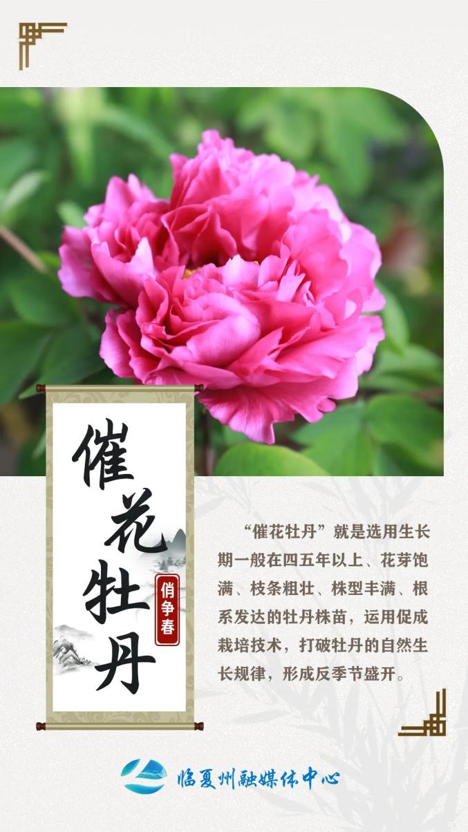 国产一卡2卡3卡四卡国色天香国产一卡二卡三卡四卡之国色天香-第3张图片