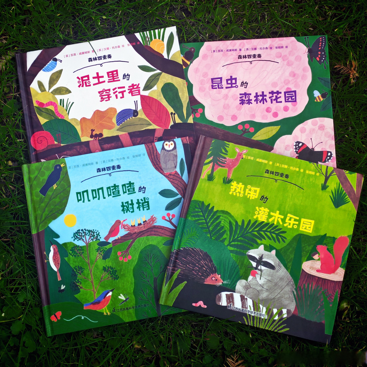 探索进进的奥秘-第3张图片