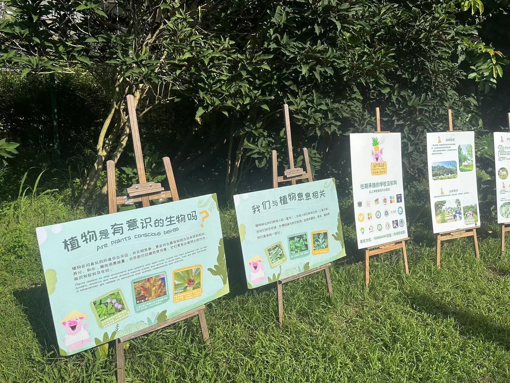 周末农场事件在线观看免费周末农场的绿色生活之旅