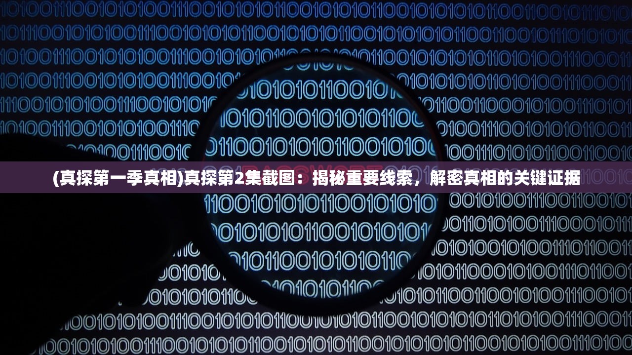 第十一季第五期答案第十一季第五期答案揭秘-第2张图片