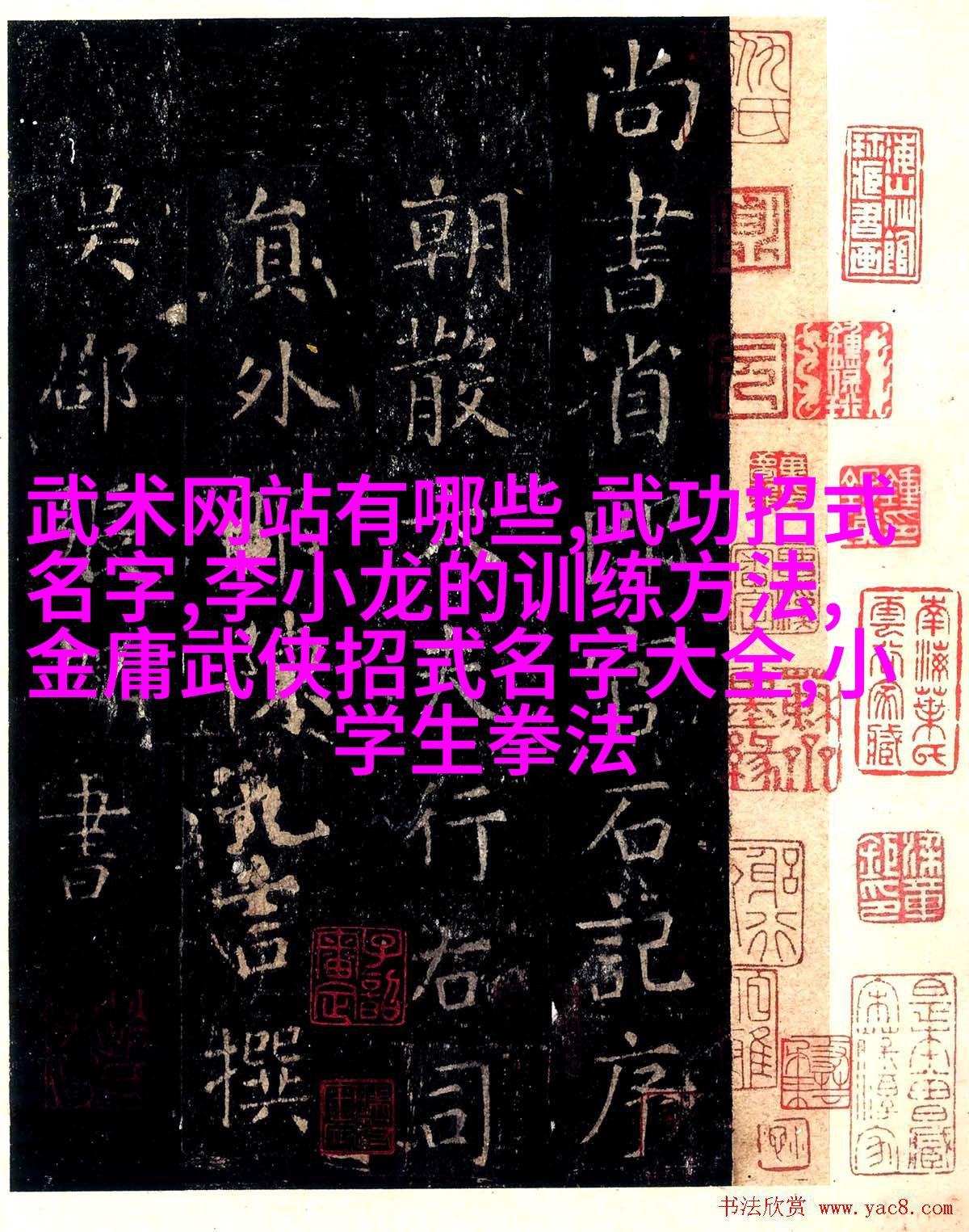 武林秘籍武林秘籍，探寻武学之秘