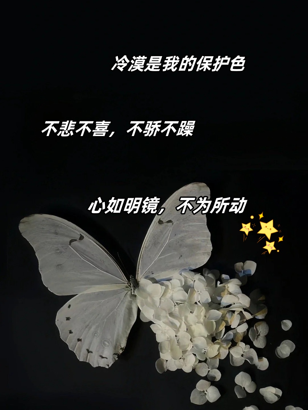 任你躁任我躁官网任你躁，任我躁——探索内心的自由与激情-第1张图片