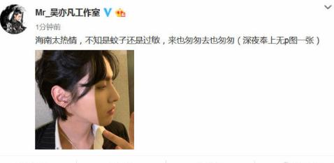 芒果乱码一二三四的区别-第1张图片