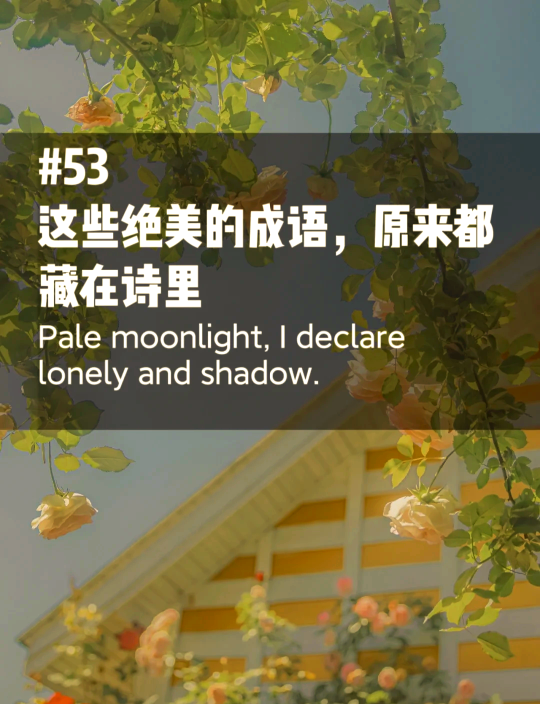 成语青梅竹马，探秘其源头与诗人之韵-第3张图片