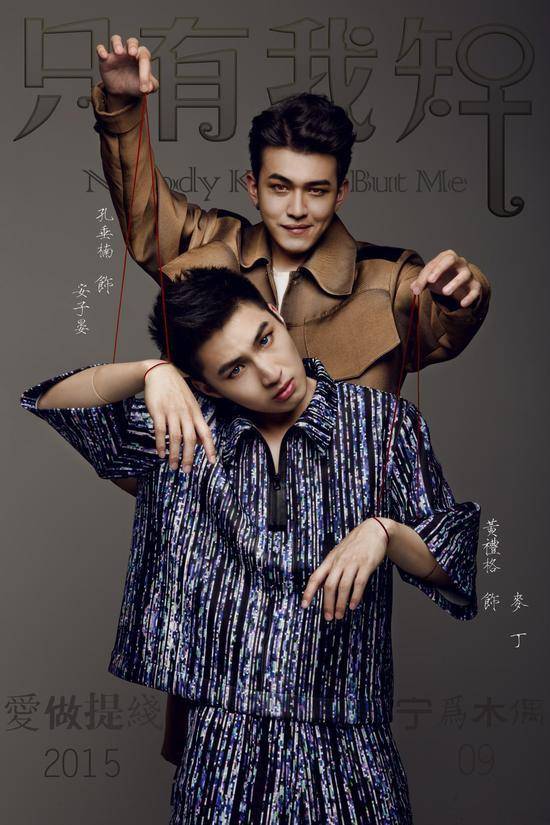 探索与理解，关于Gay视频的多元视角-第2张图片
