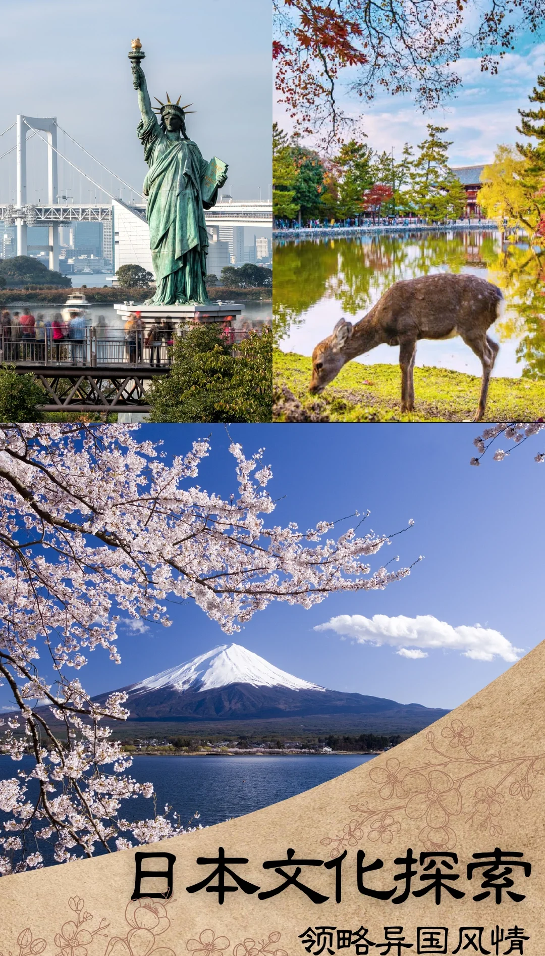 探索日本道二区的视频之旅-第2张图片