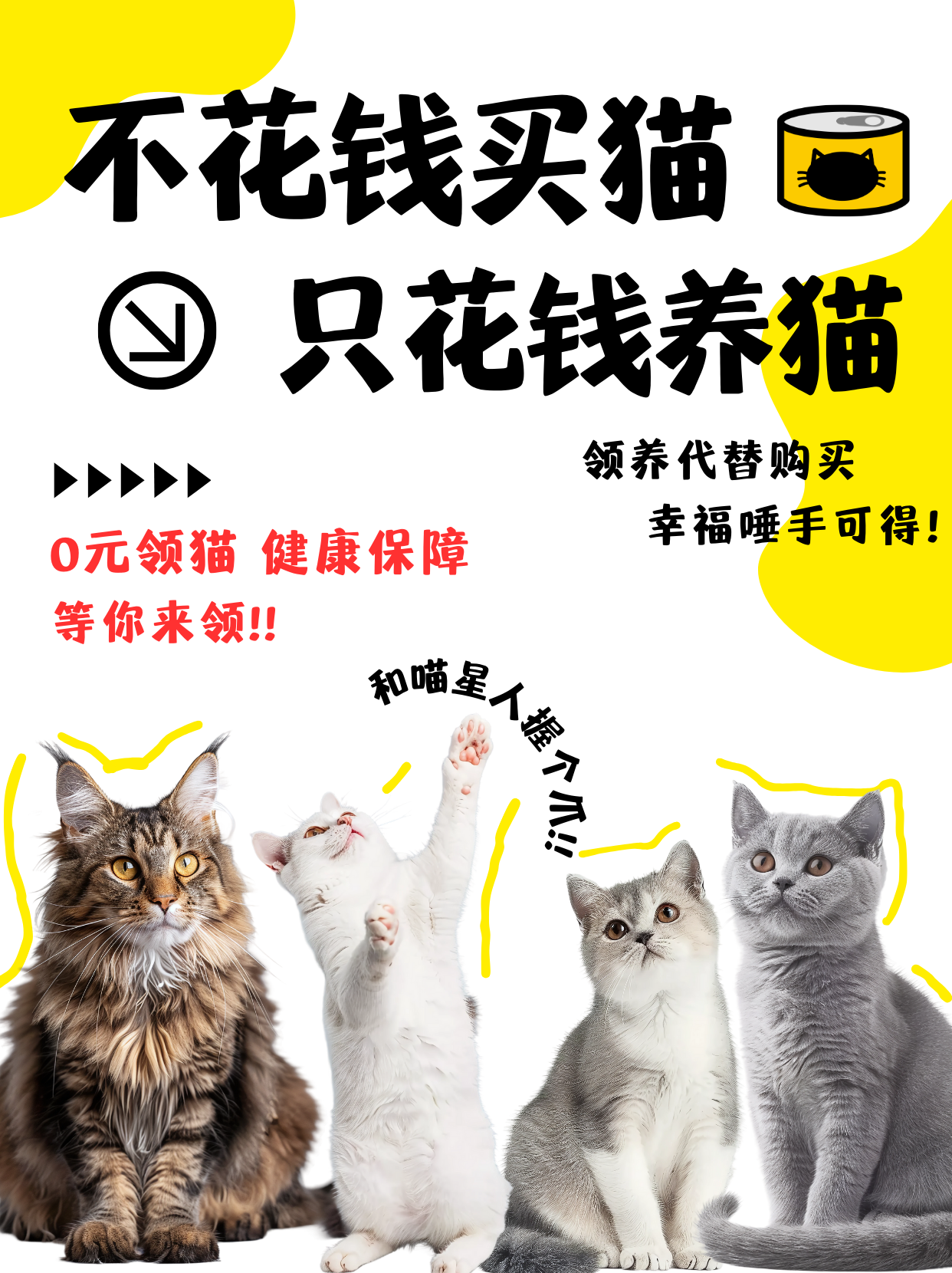 猫咪全新3.0，引领宠物科技新潮流