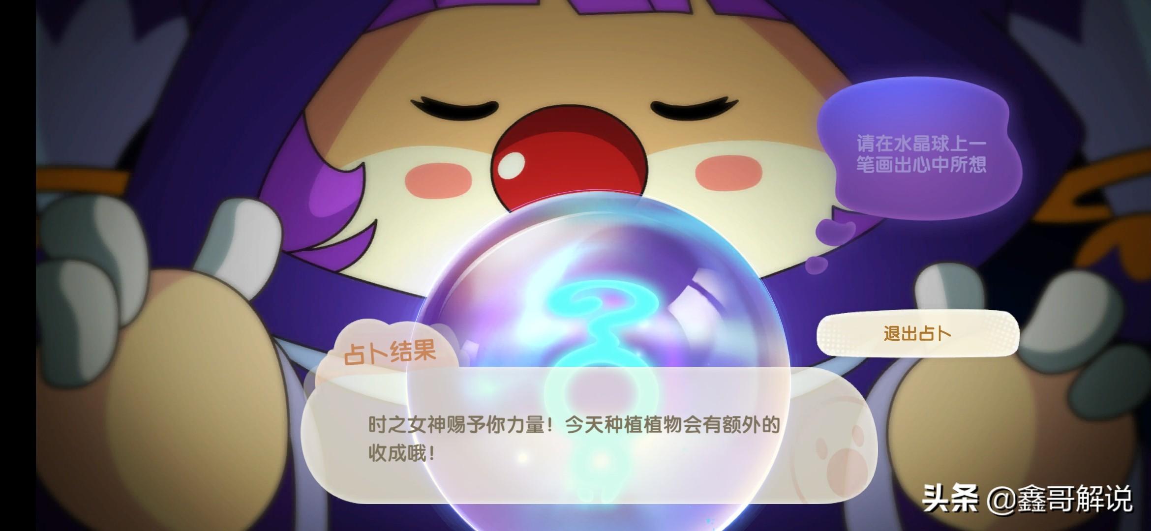 摩尔庄园许愿龟的神秘魅力-第3张图片