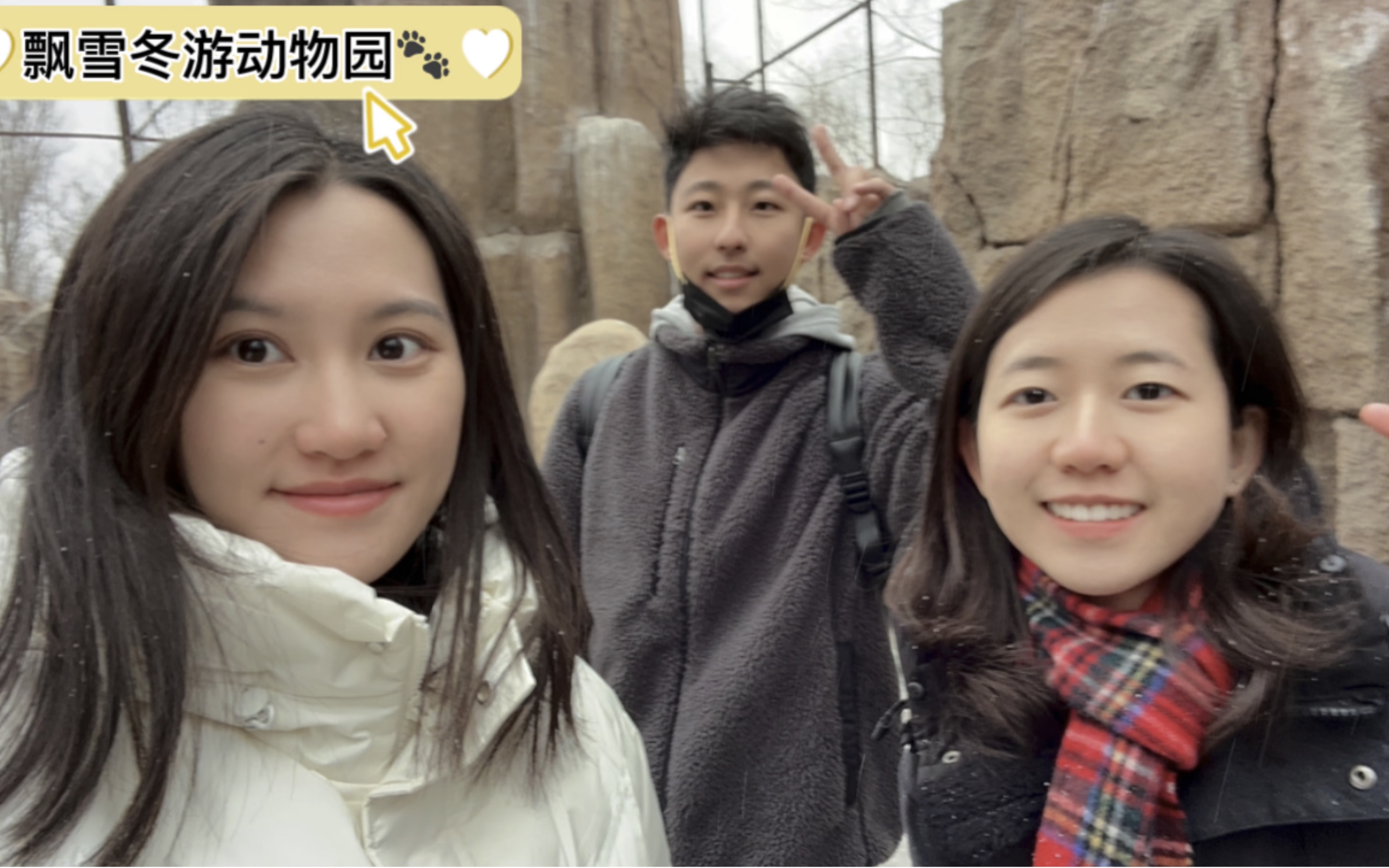 飘雪影院完整版在线观看视频品色堂——永远的免费论坛