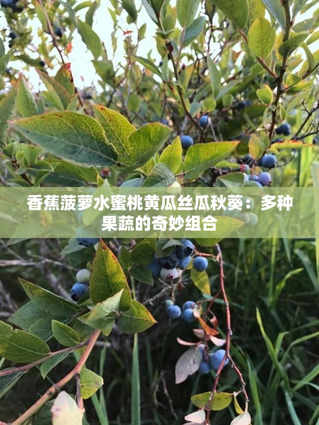 夏日果蔬盛宴，丝瓜、黄瓜、草莓、向日葵、秋葵、榴莲的下载与种植体验