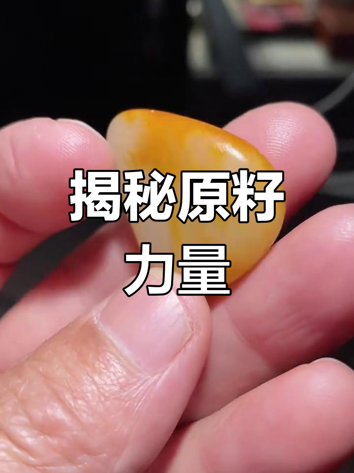 探索CQQ的魅力与力量