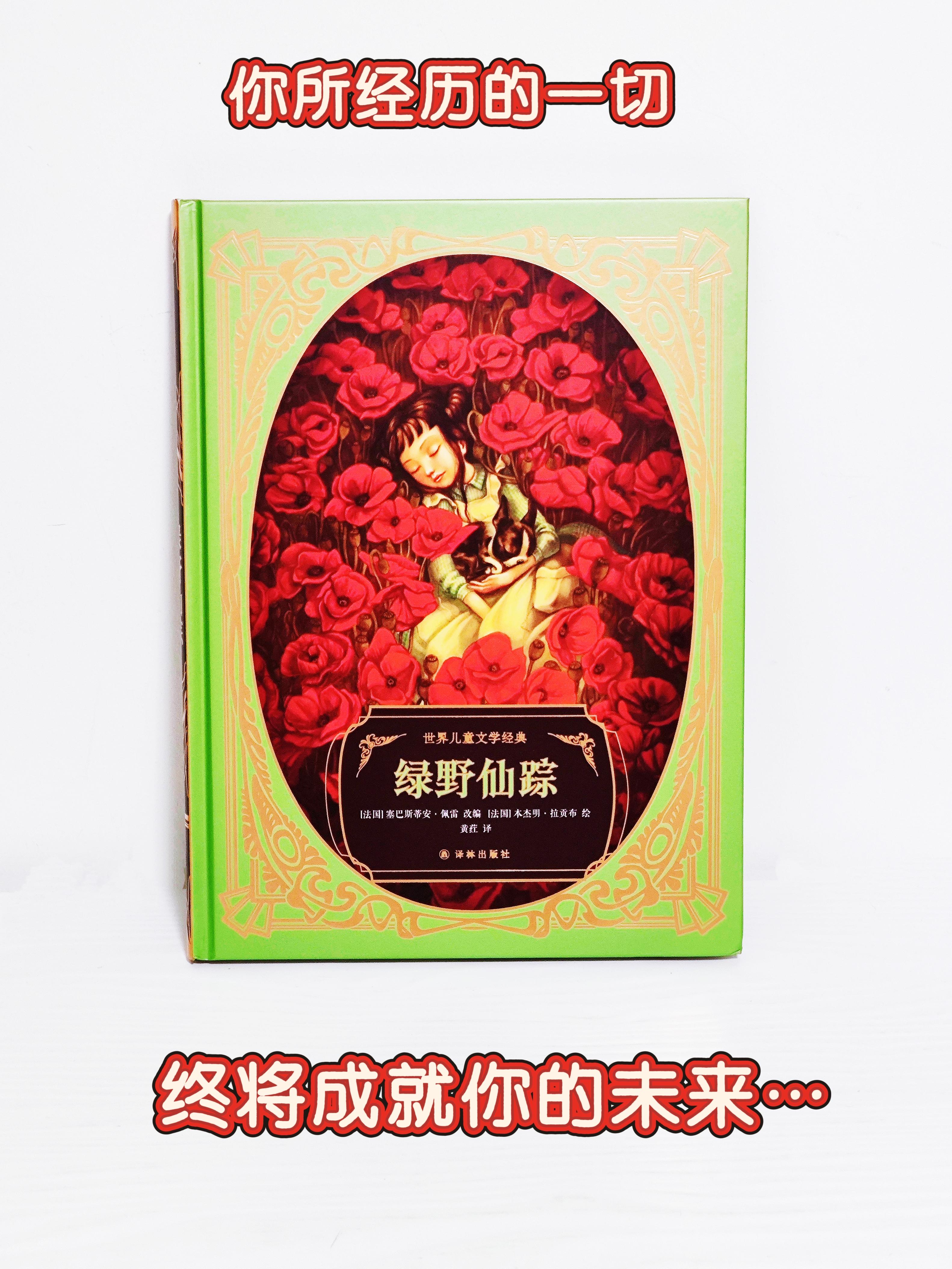 仙踪林专业视频网站仙踪林视频之旅，老狼信息的探索与发现-第2张图片