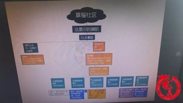草榴如何进入的探索