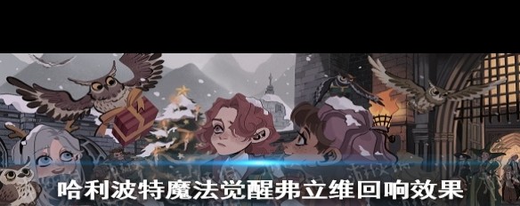 哈利波特魔法觉醒，分院的奥秘与意义