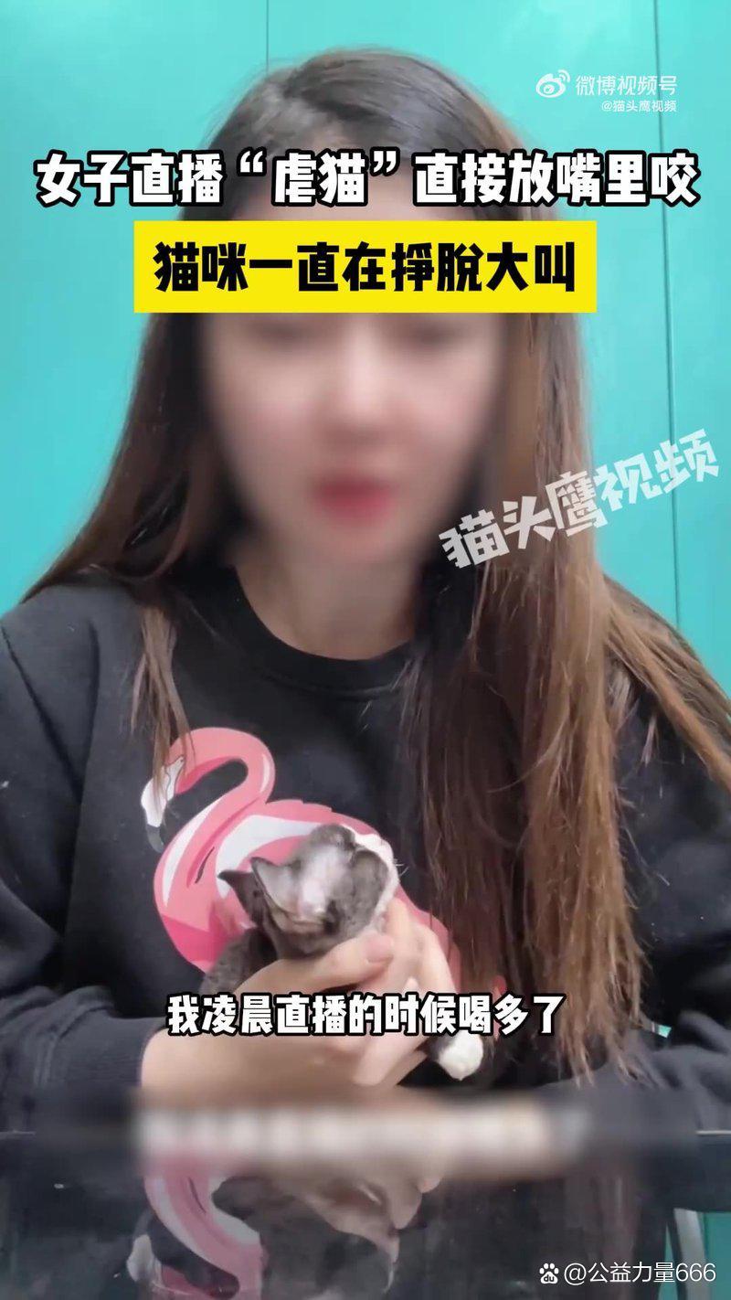 女主直播中不恰当行为，粉丝眼中的道德与法律边界-第2张图片