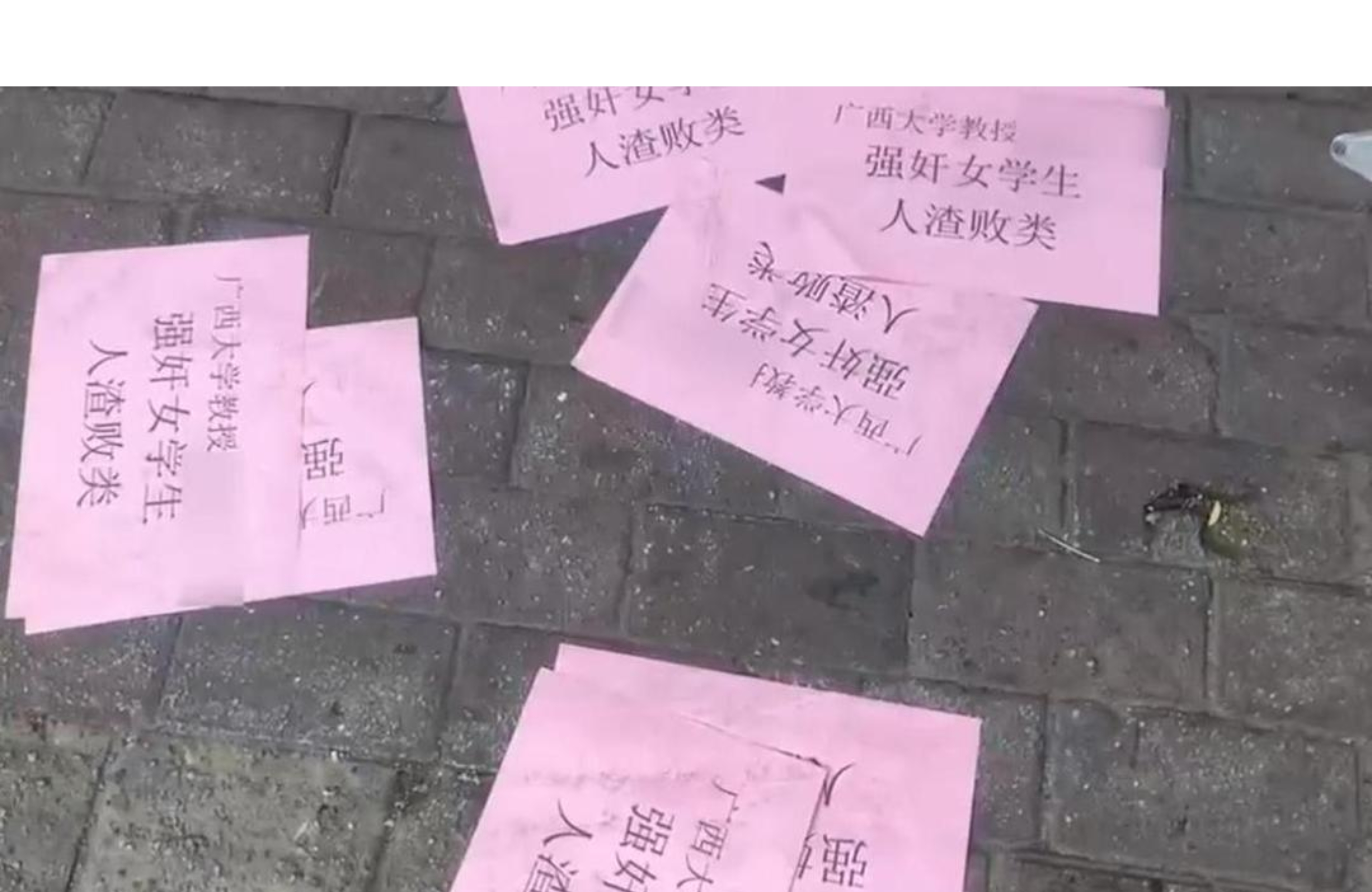 黑料网 - 今日黑料 独家爆料 正能量黑料网独家爆料，今日正能量，揭秘背后的故事
