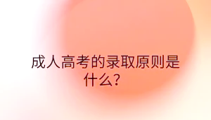 成人频道成人频道的存在意义与影响-第1张图片