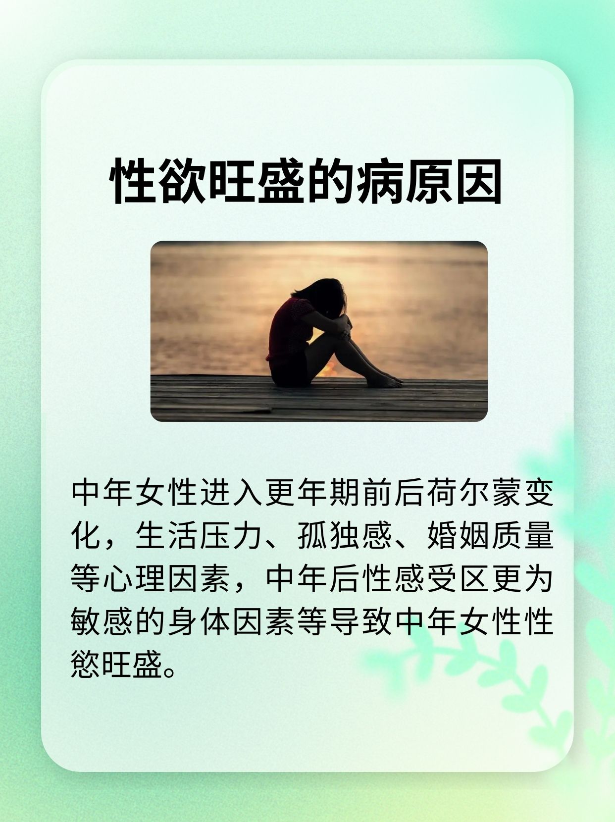 双飞俩中年女人图片双飞之旅，中年女性的独特魅力与共度时光-第3张图片