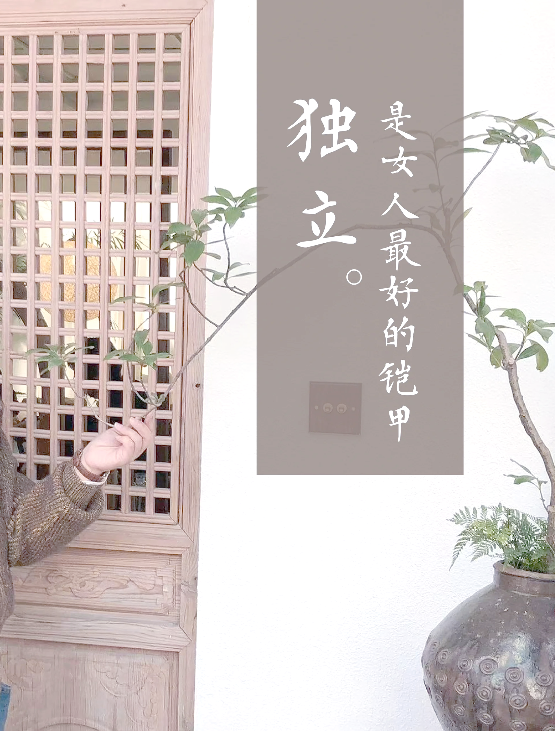 双飞俩中年女人图片双飞之旅，中年女性的独特魅力与共度时光