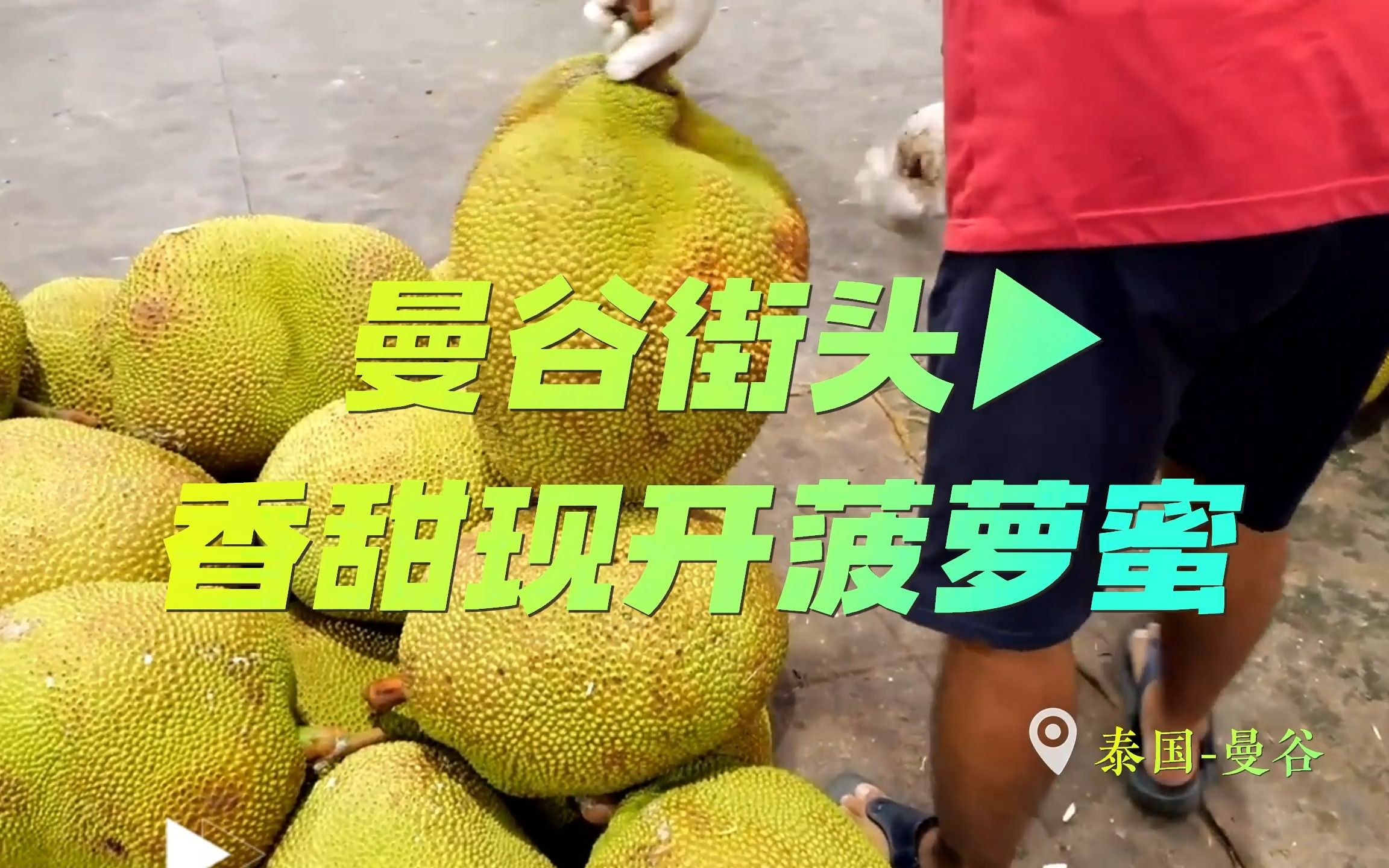 菠萝蜜视频app在线观看菠萝蜜视频app在线观看，探索无限娱乐的便捷途径