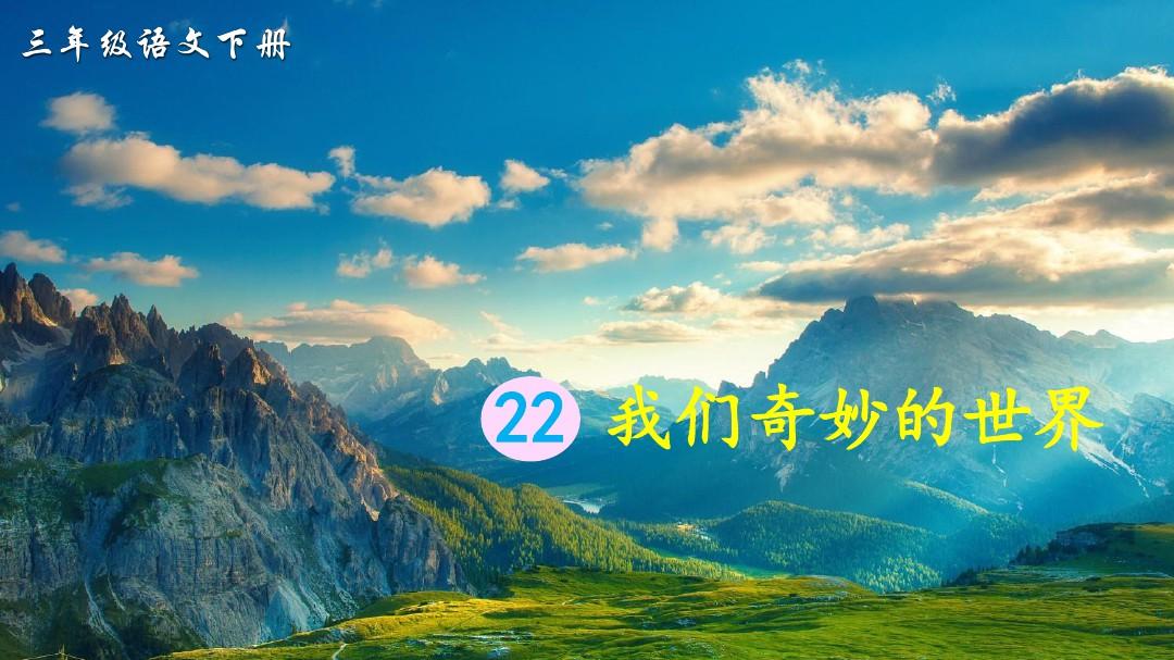 搡BBB与搡BBBB的奇妙世界-第1张图片