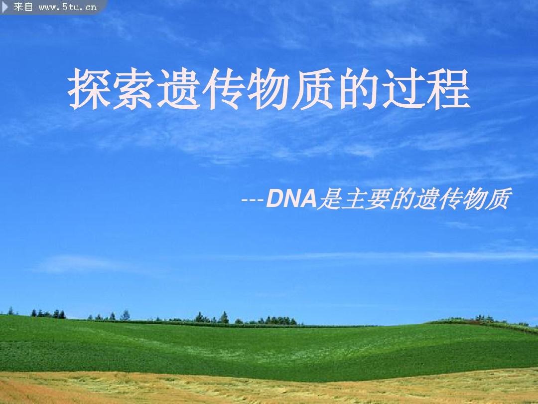 人和马的dna相似度是多少人与马的DNA，探索生物共性与差异的奇妙之旅-第2张图片