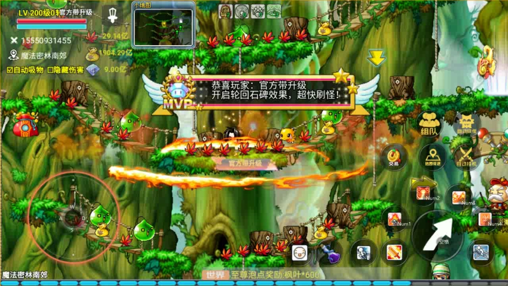 魔法密林魔法密林，神秘的绿色乐园-第2张图片