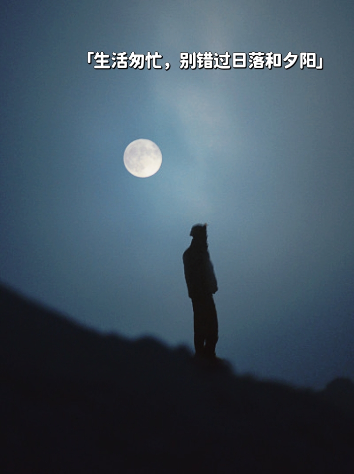 挪威森林之夜，扑克牌的魅力与夜晚的宁静