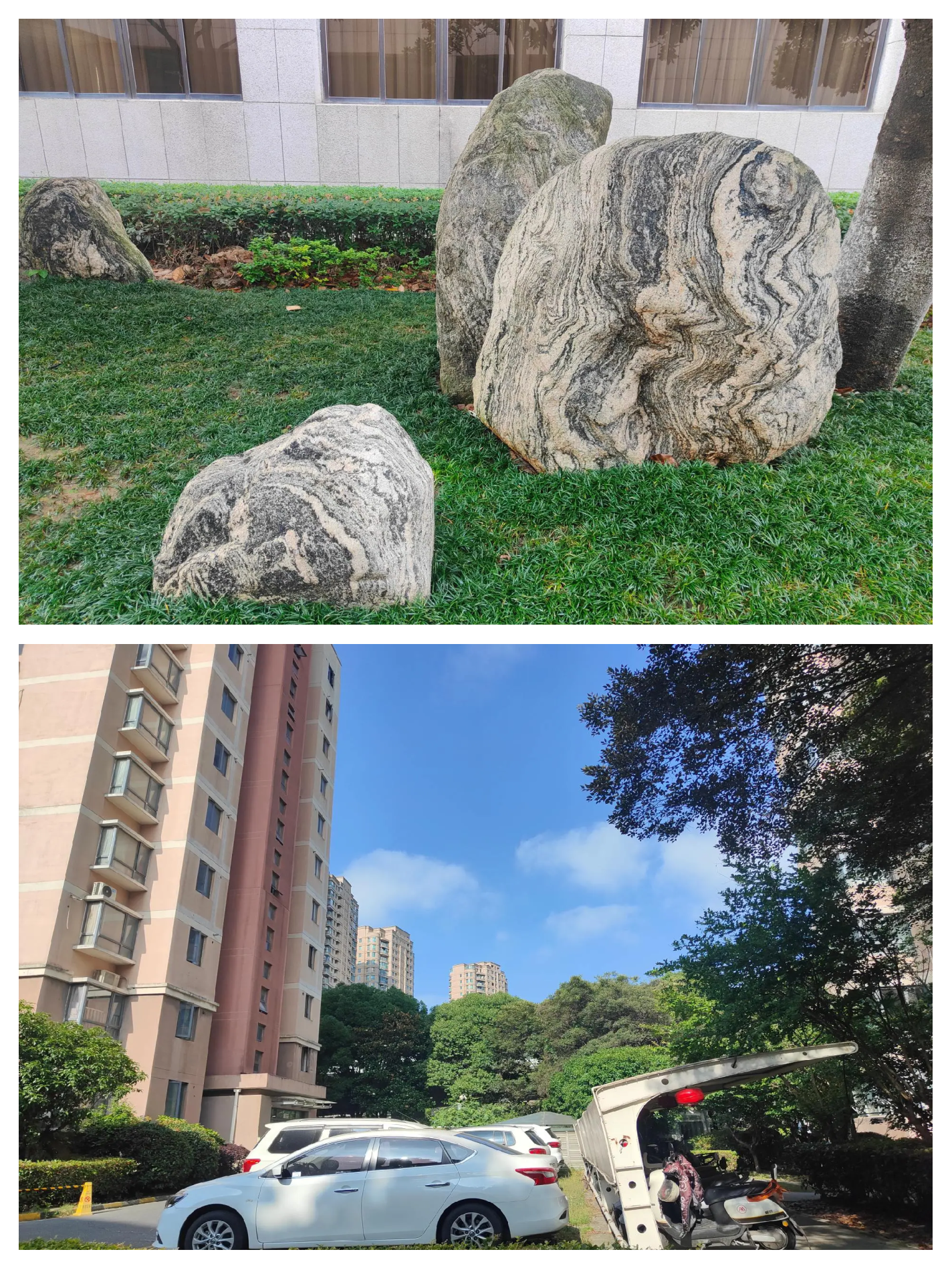 被俘虏的缉毒警察纪实小说被俘虏的缉毒警察，生死边缘的英勇与坚守
