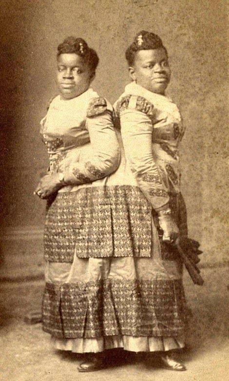 另类女人ZOZO人禽交探索另类文化现象，ZOZO与女性视角下的多元关系