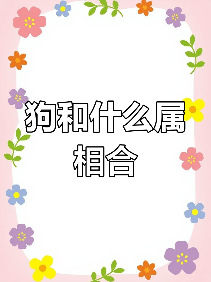 狗与人的最佳配对方式探讨-第2张图片
