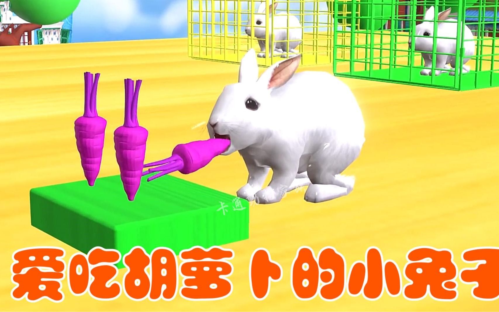 老师的大兔子，美味与教育并行的故事-第2张图片