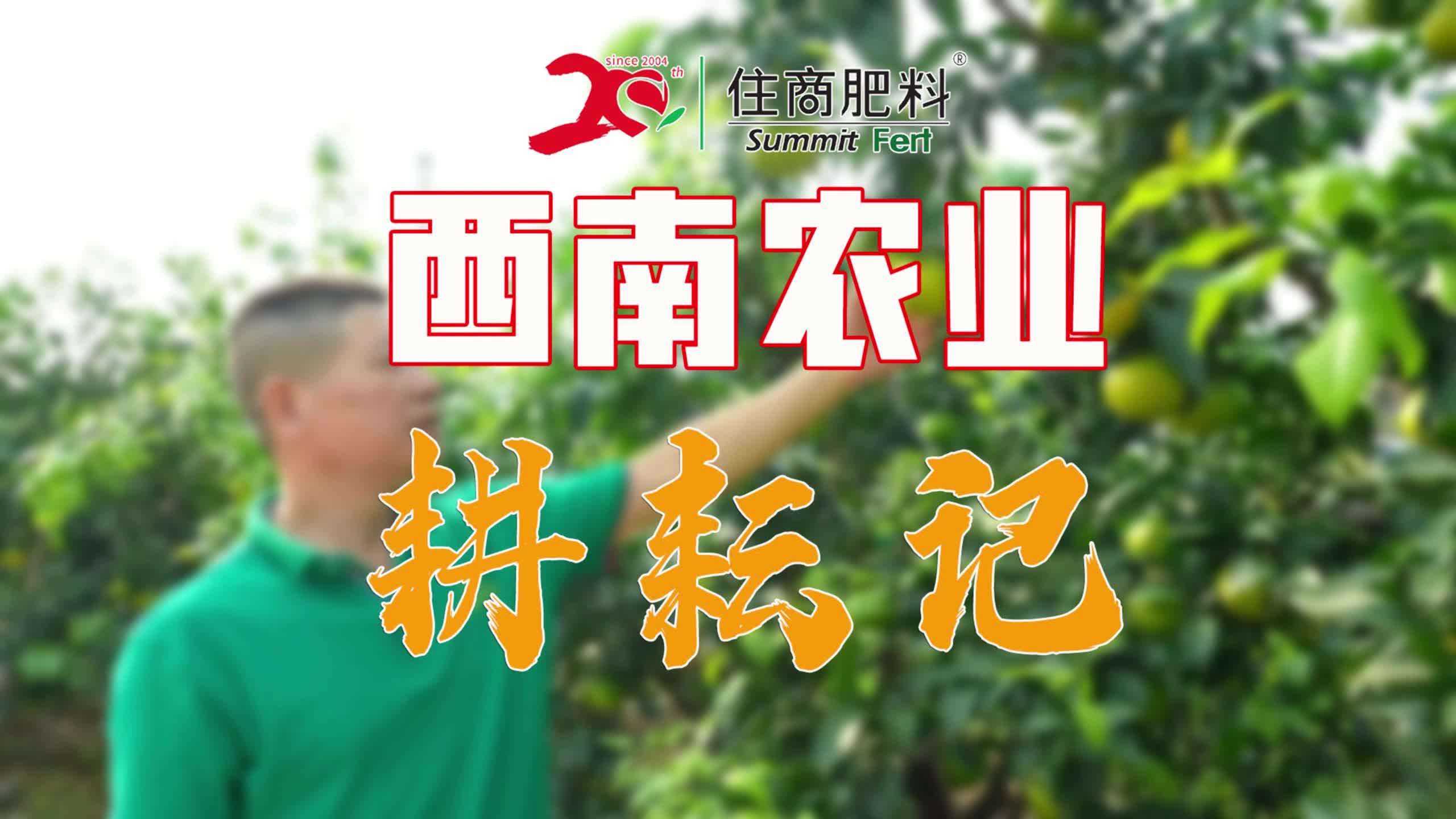耕耘大婶的肥沃的土地是什么意思啊耕耘大婶的肥沃土地之源