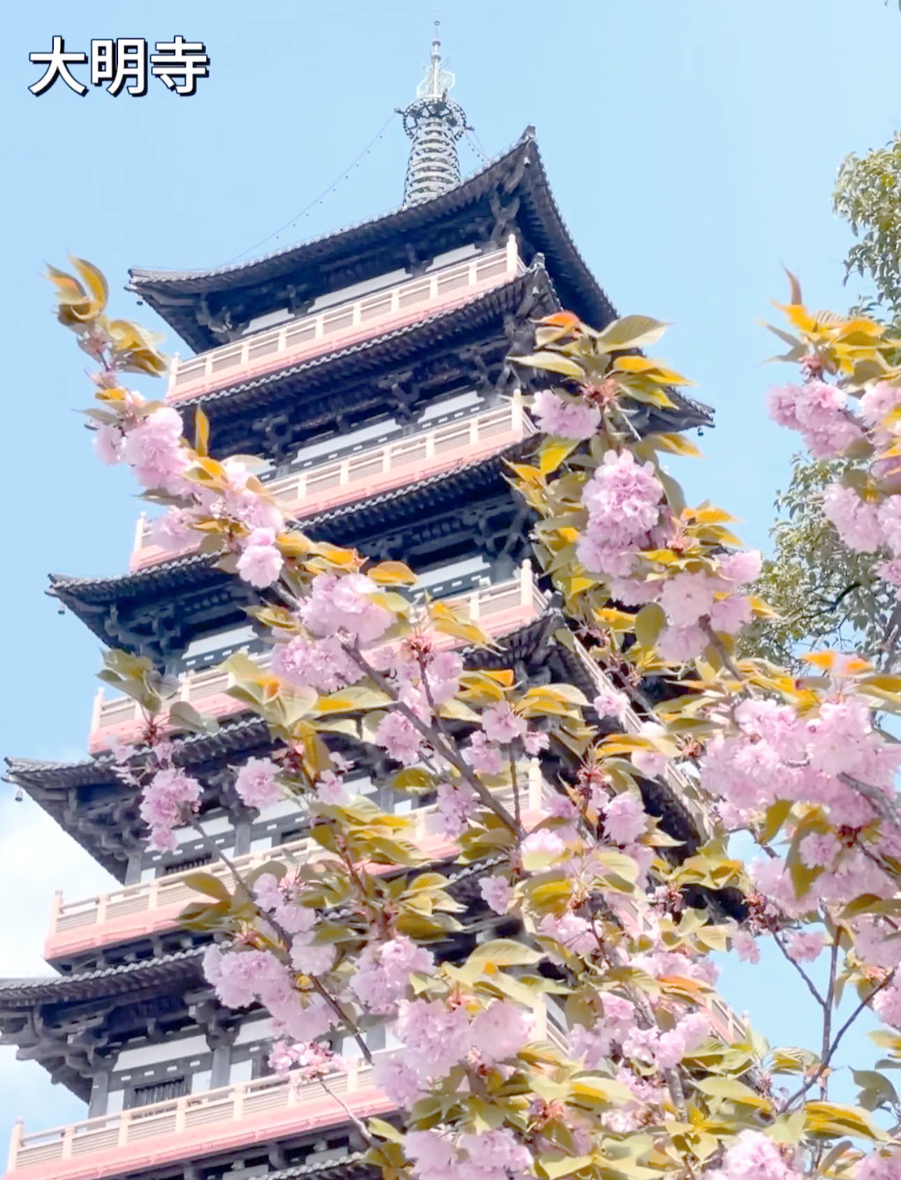 一本大道——一卡二卡免费畅游网络世界-第2张图片