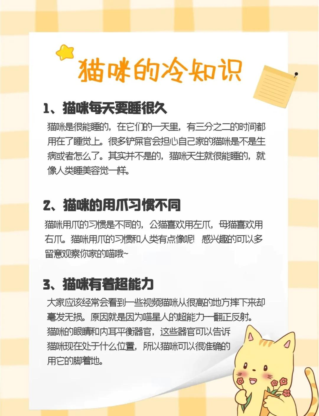 猫咪最新永久地域网名是什么猫咪的秘密世界，猫咪永久域名收藏地址-第1张图片
