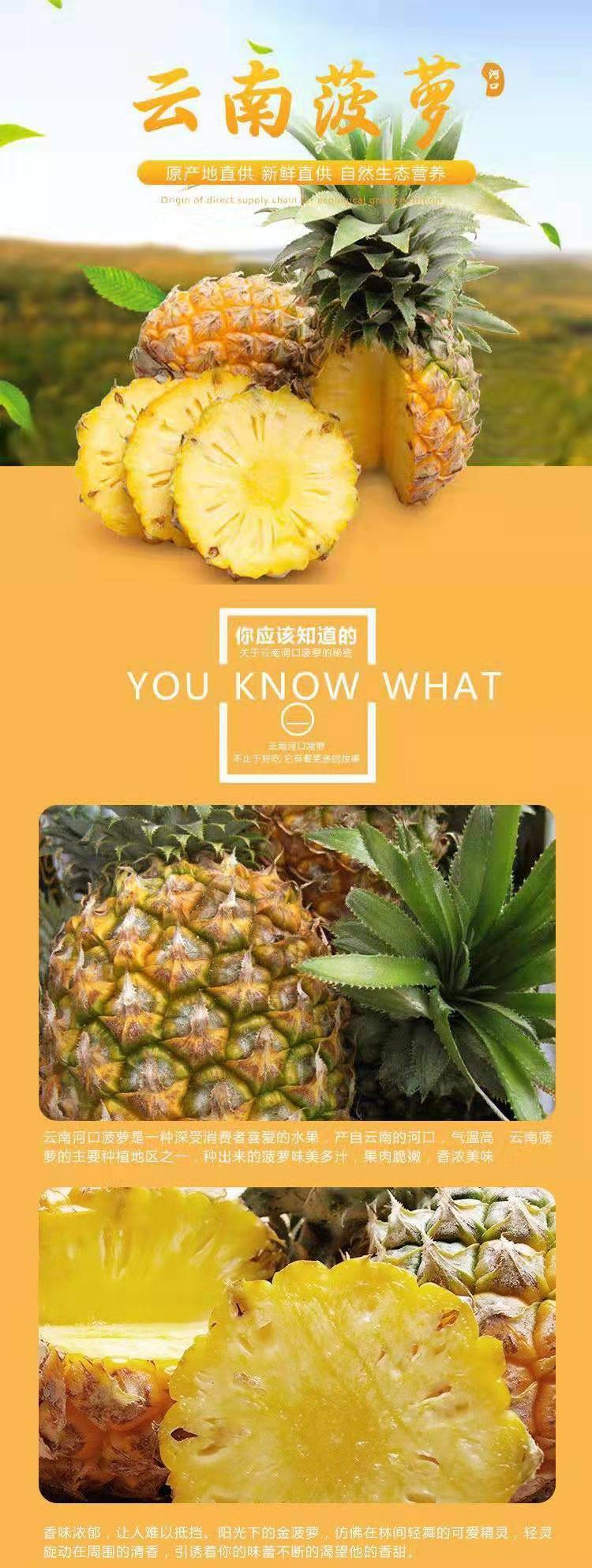大菠萝福建导航福引导网站探索福建导航，大菠萝与福引导网站之旅-第2张图片