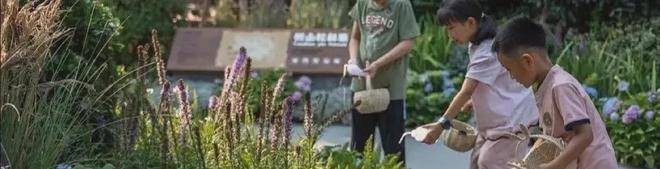 探索136导航福利（136fldh）的魅力之旅-第2张图片